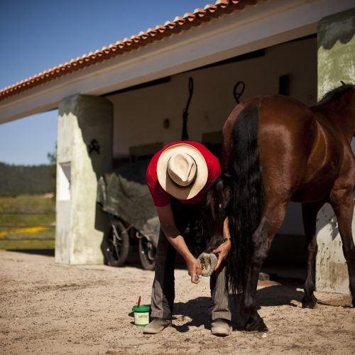 yoga retreat portugal