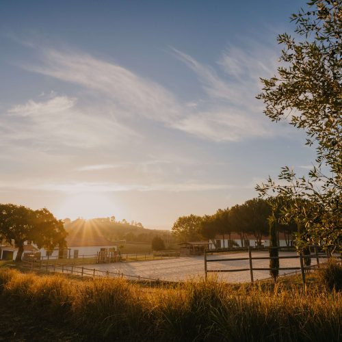 Stables & Outdoor Arena